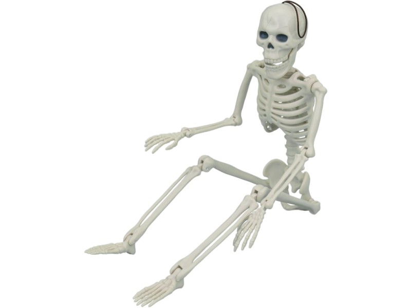 Kostlivec, 40 x 13 x 5 cm