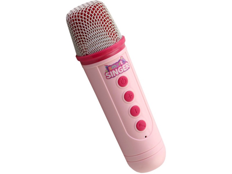 Mikrofon na baterie, 19 x 8,5 x 16cm